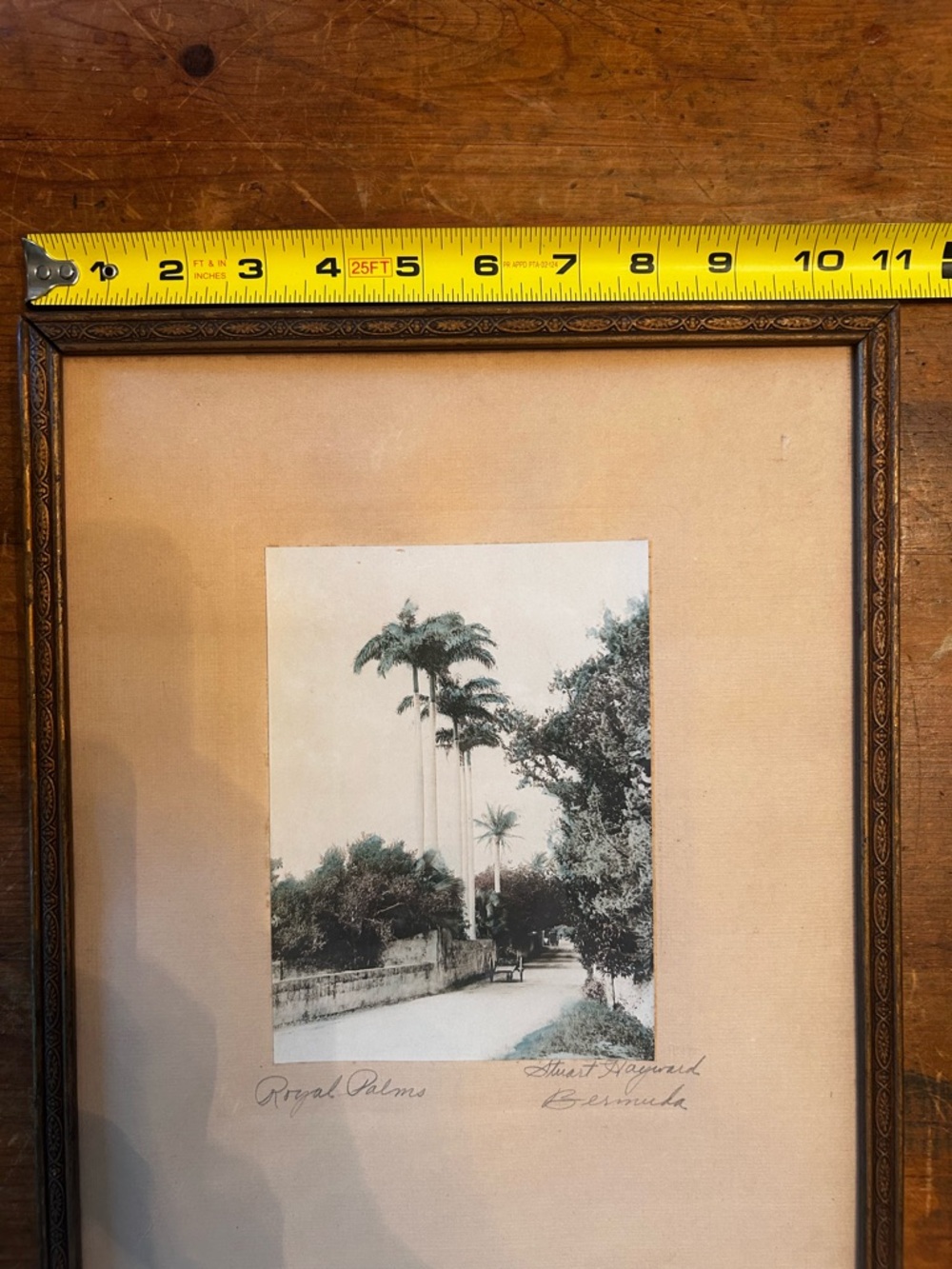 Orig. SIGNED hand-tinted 1920 photograph by Stuart Hayward. Royal Palms, Bermuda - Picture 6 of 9
